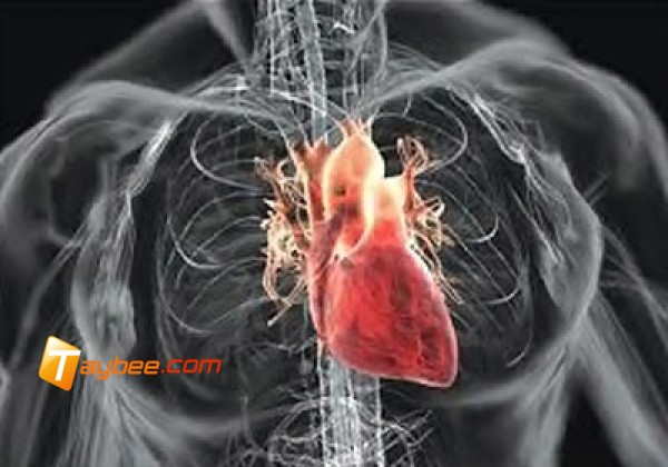 الصيام يقلل من خطر الإصابة بجلطات القلب