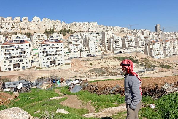 فيديو:برلماني يشهر سلاحه فى معركة تحت قبة البرلمان الاردني