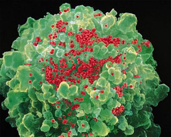 أمريكا تحث مسؤولي الصحة على الحذر من فيروس قاتل «لم يشهده البشر»