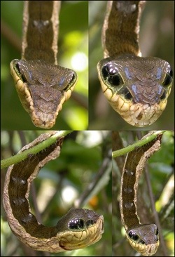 20130303-181332.jpg